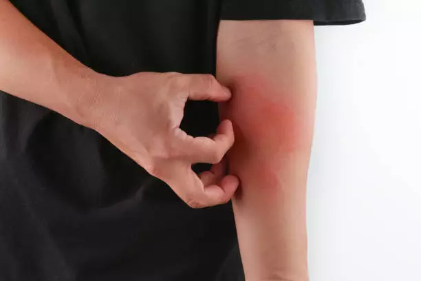 Cara Membuat Obat Kuat Dari Daun Kelor,Rahasia Kekuatan Alamiah