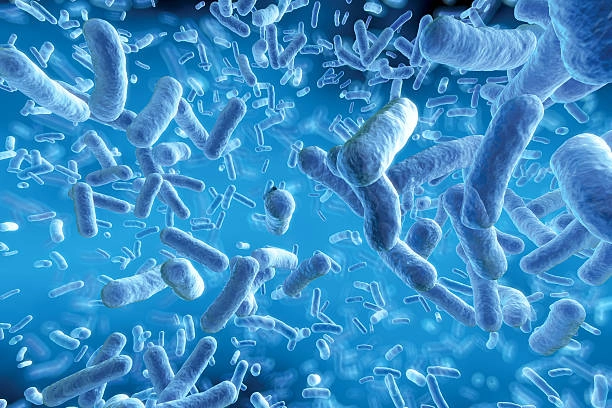 Antimikroba, Definisi Jenis dan Mekanisme Kerja