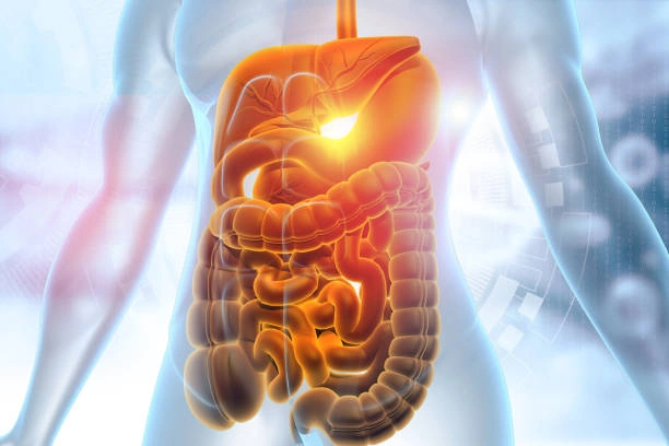 Kayu Secang Untuk Pencernaan