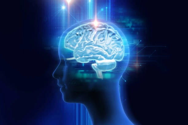 Kayu Secang Untuk Otak