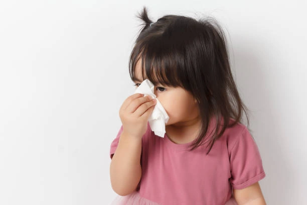 Biji Selasih Untuk Flu