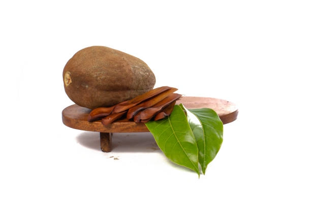 Biji Mahoni Untuk Menangkal Radikal Bebas