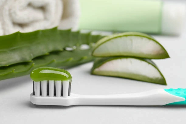Aloe Vera Untuk Gigi