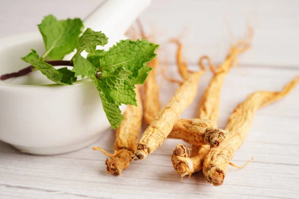 Ginseng Untuk Otak