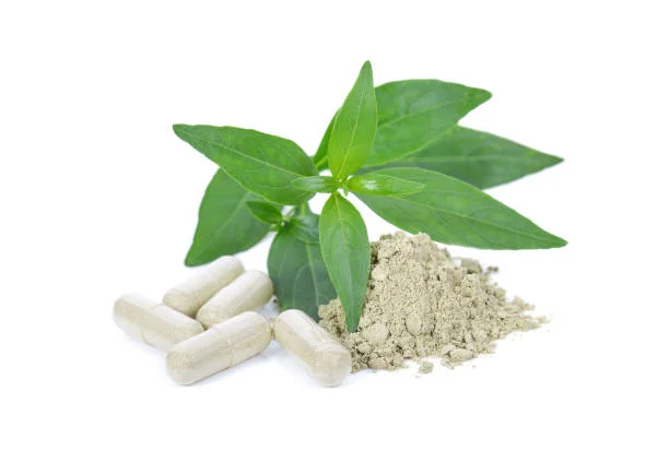 Manfaat Andrographis Hpai Untuk Wajah