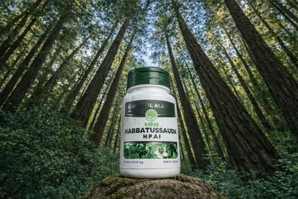 Khasiat Habbatussauda Hni Hpai