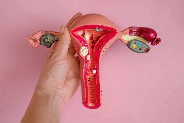 Kunir Putih Untuk Rahim