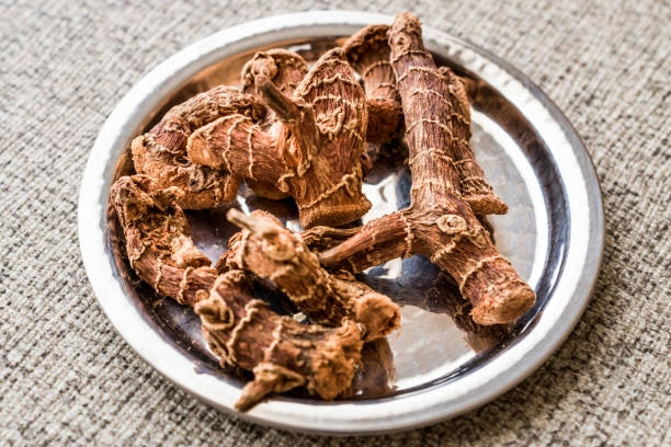 Akar Sidaguri Untuk Pencernaan