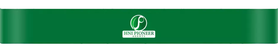 Banner Bawah HNI Pioneer