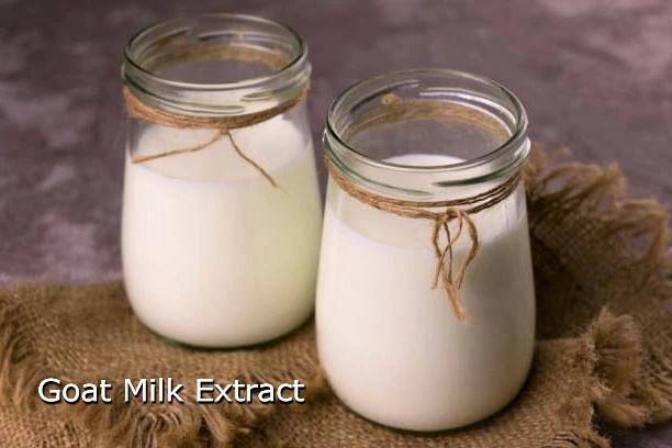 Goat milk extract