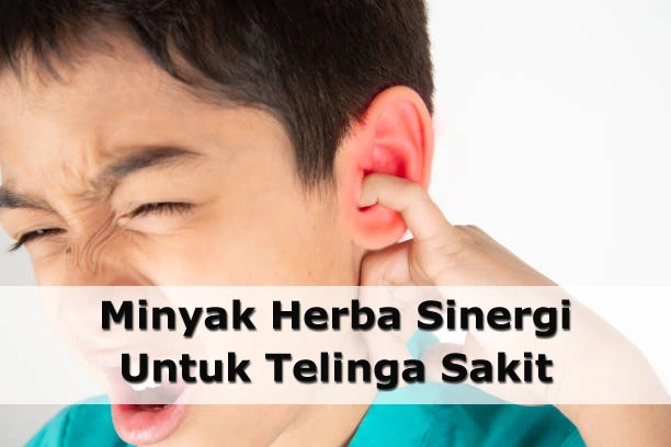 Testimoni Minyak Herba Sinergi MHS HPAI Untuk Telinga