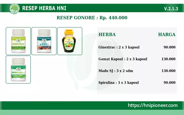 Resep HNI Gonore