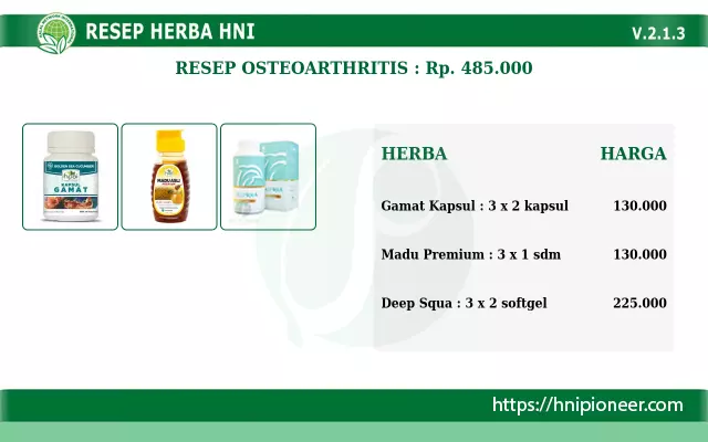 Resep HNI Osteoarthritis