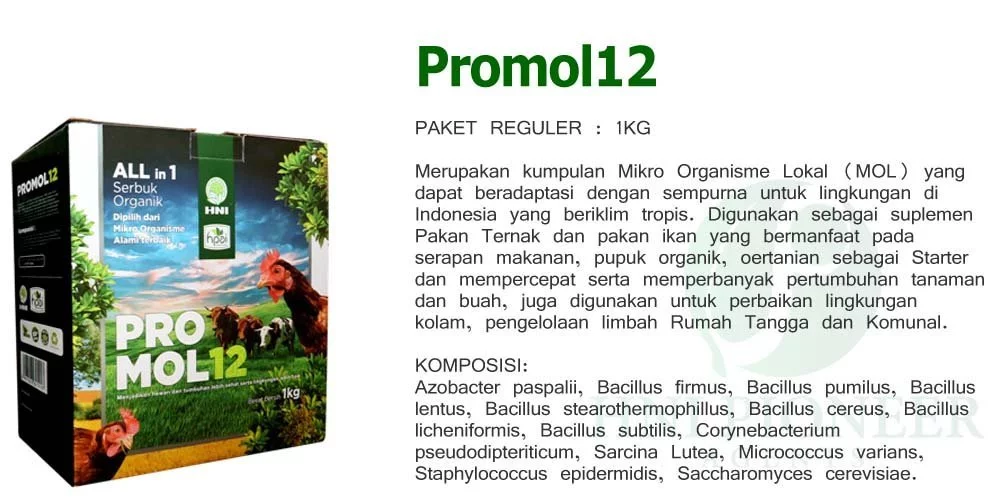 Promol12